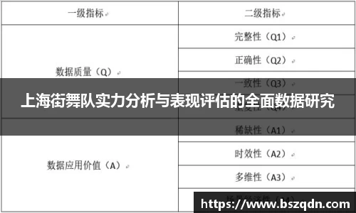 上海街舞队实力分析与表现评估的全面数据研究